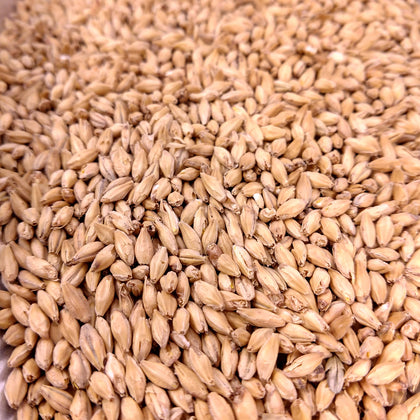 Fermentables