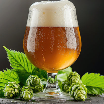 5 Gallon Beer Kits