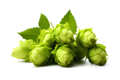 Hops