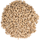 TF&S Golden Promise Pale Ale Malt – Premium British Barley Malt