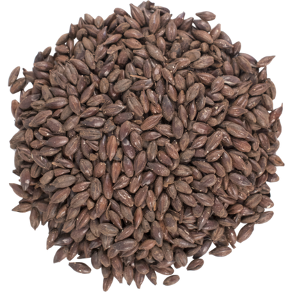 Black Barley 500°L