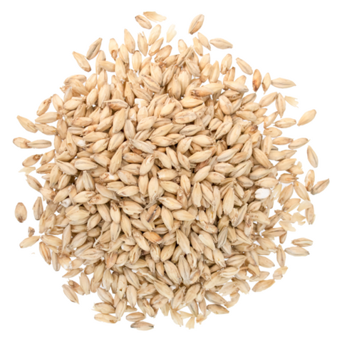 Great Western 2 Row Malt 1.8°L