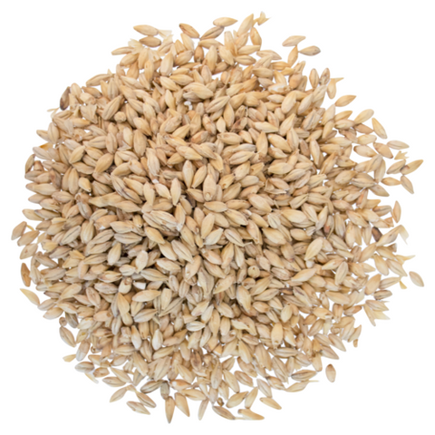 Great Western Vienna Malt