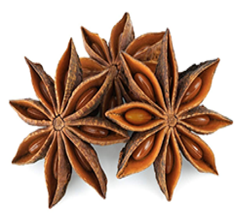 Star Anise – 1 oz Botanical for Brewing, Distilling, Bitters, Liqueurs & Spirit Infusions