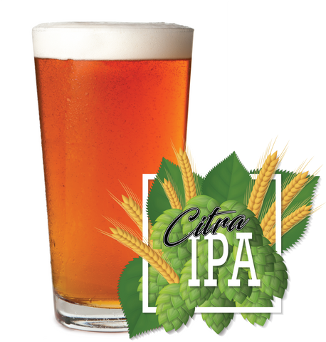 Citra IPA Recipe Kit
