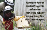 Treasure Valley Honey 3LBS