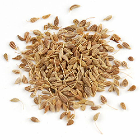 Anise Seed – 1 oz Botanical for Brewing, Distilling, Bitters, Liqueurs & Spirit Infusions