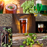 Irish Red Ale Recipe Kit