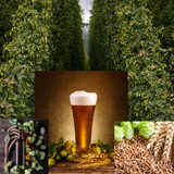 1 Gallon Nano-brew | Hoptastic Session IPA [Partial Mash] Recipe Kit