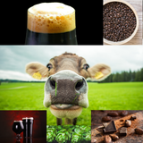 Moo Moo Chocolate Milk Stout 5 Gallon Home Brew Recipe Kit