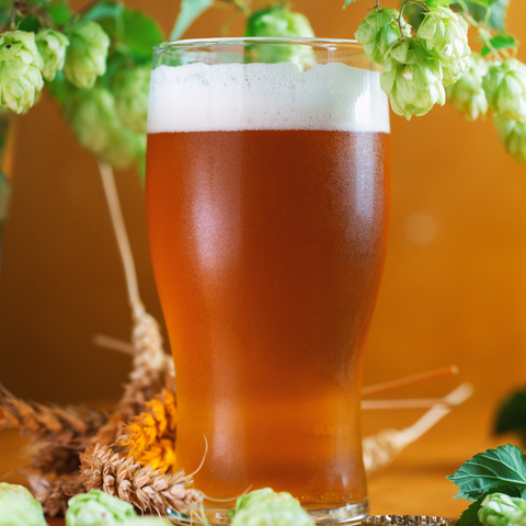 1 Gallon Nano-brew 90 Shilling Ale [Partial Mash] Recipe Kit