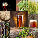 Rye-Rish Red Ale Recipe Kit