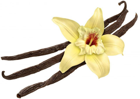 Vanilla Bean